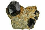 Black Dravite Crystals on Rock - New York #110359-3